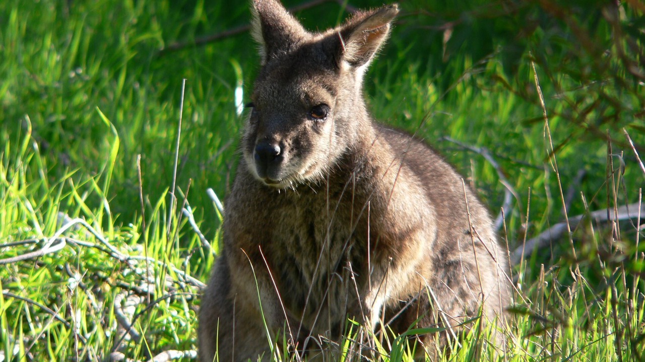 Photo of Outdoor in Antechamber Bay