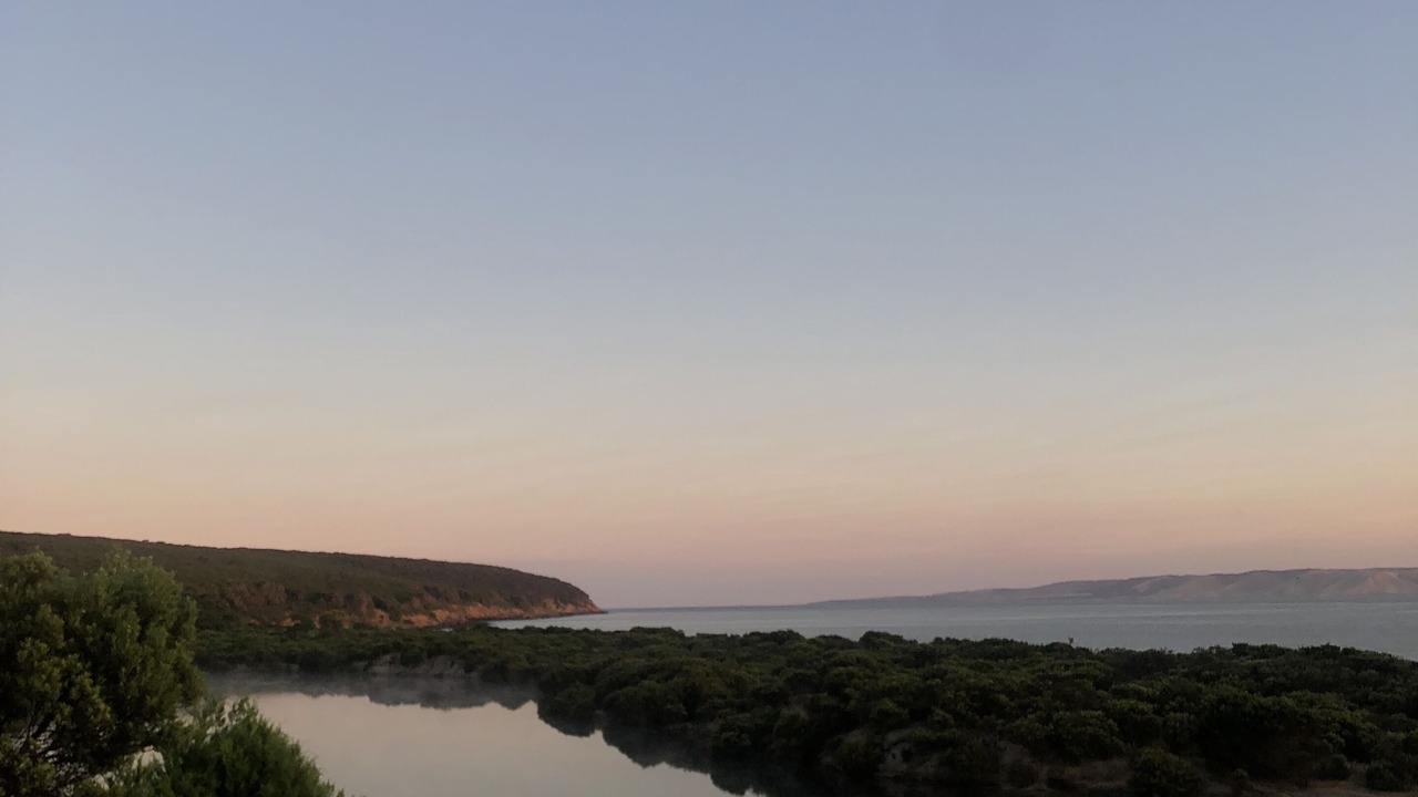 Photo of Others in Antechamber Bay