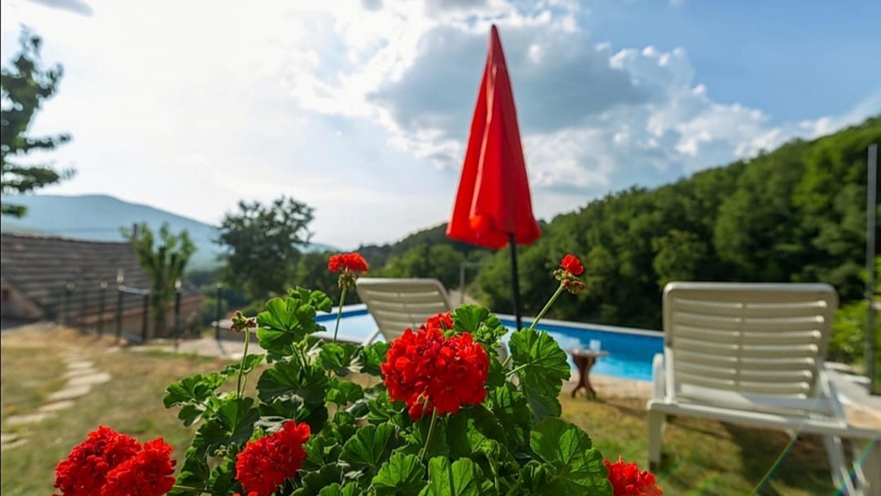 Photo of Outdoor in Lovrec