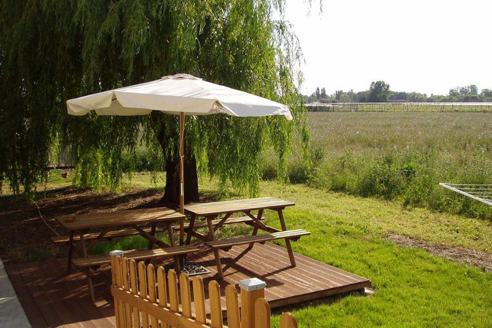 Photo of Outdoor in Castelsarrasin