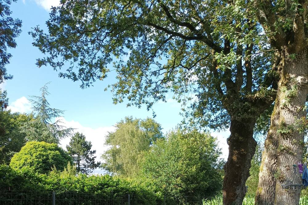 Photo of Outdoor in Allaire