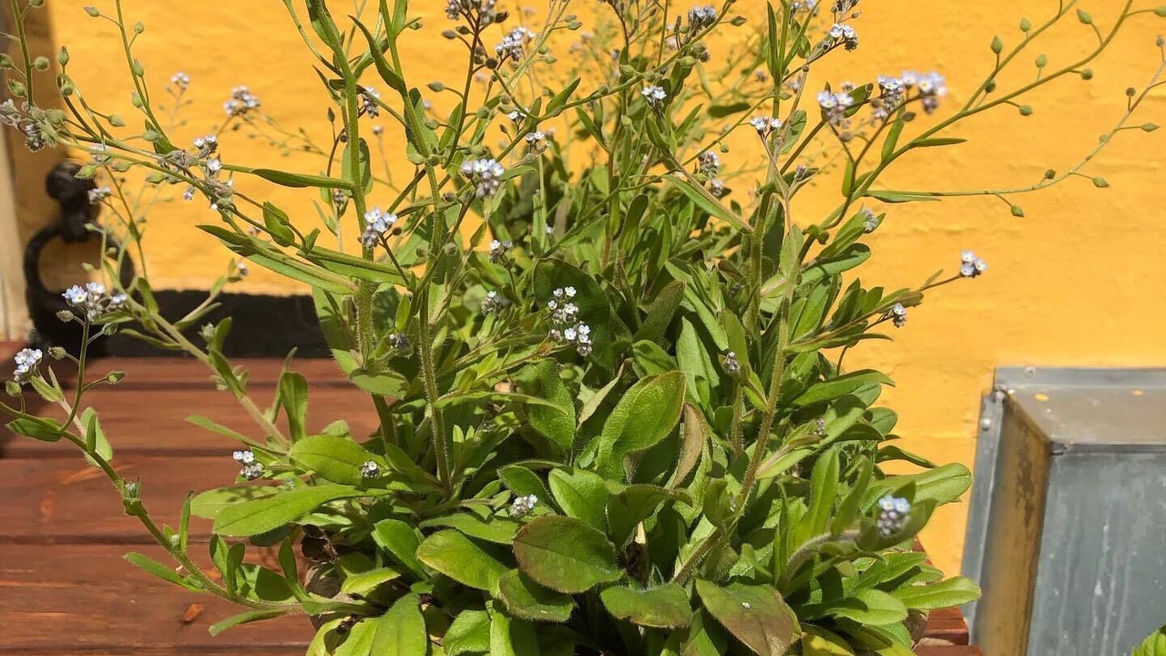 Photo of Outdoor in Borglum