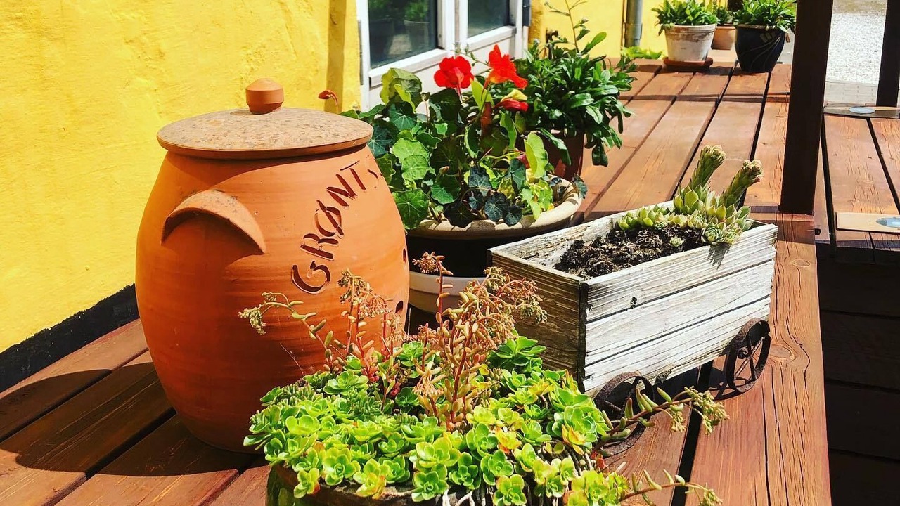 Photo of Outdoor in Borglum