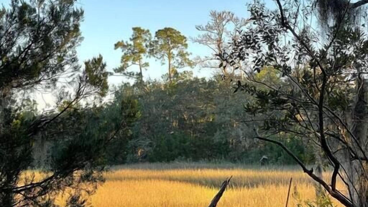 Photo of Others in West Ashley