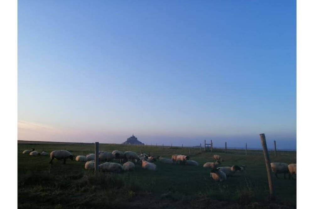 Photo of Others in Pleine-Fougeres