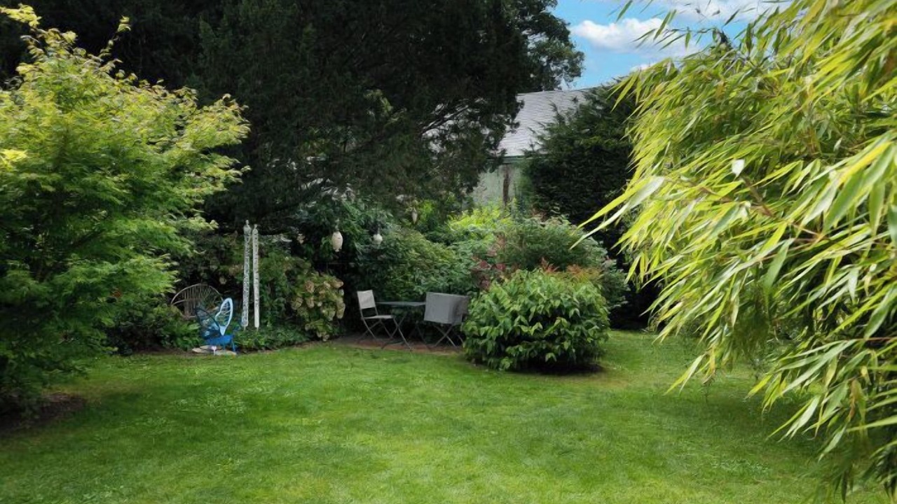 Photo of Outdoor in Reugny