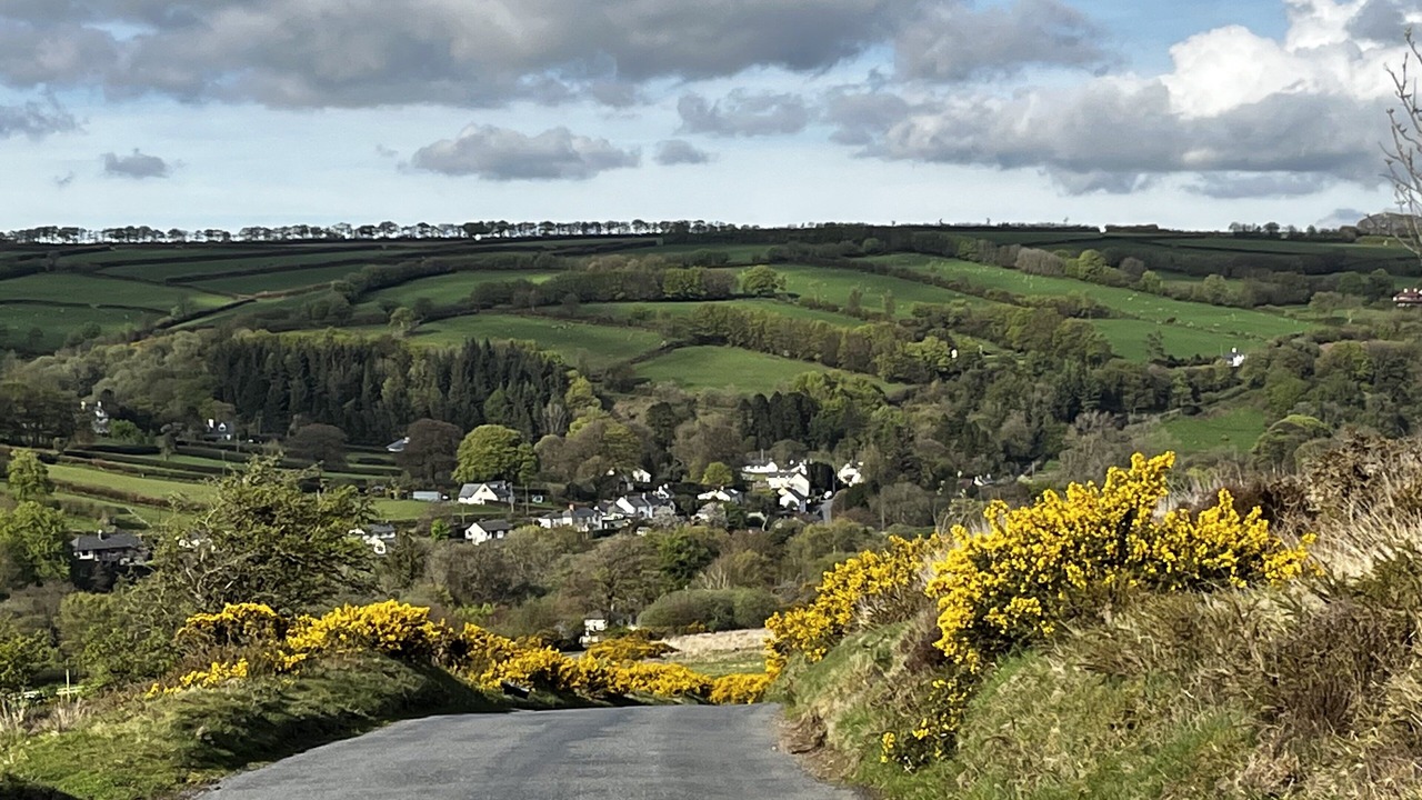 Photo of Others in Withypool