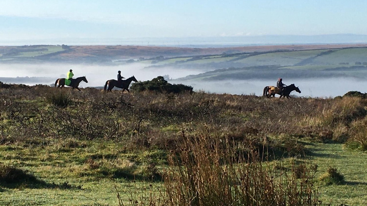 Photo of Outdoor in Withypool