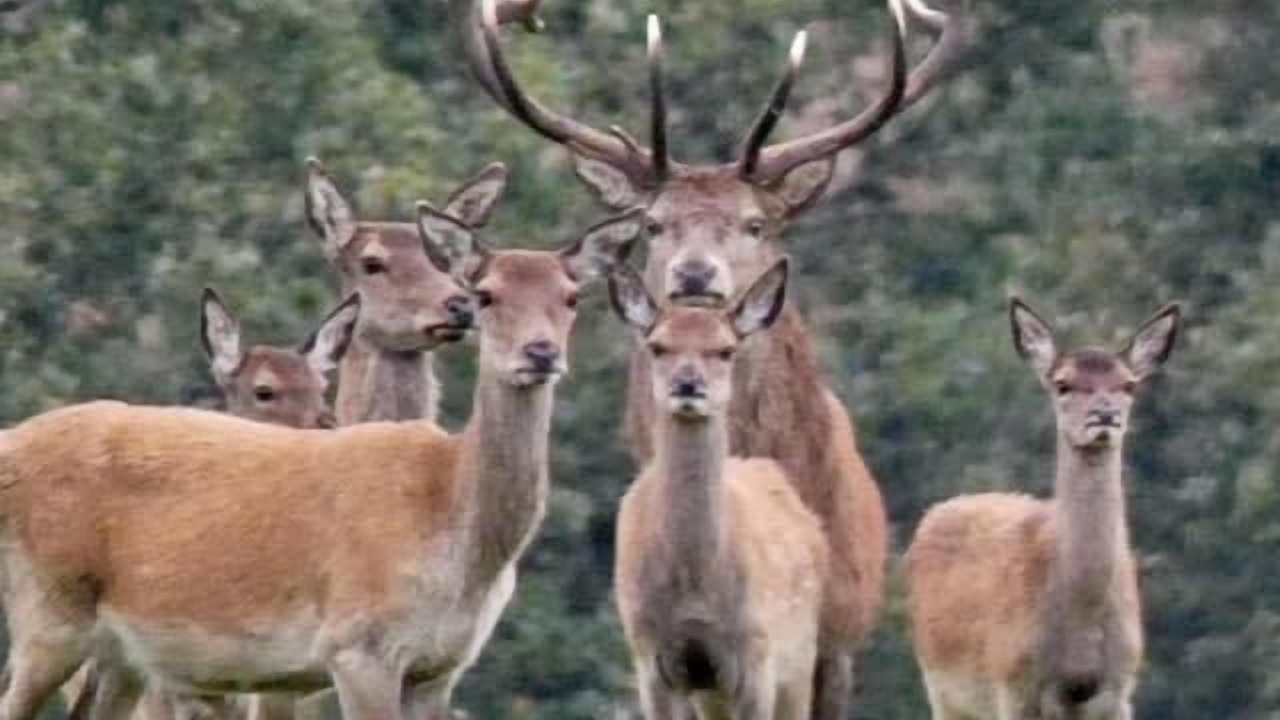 Photo of Others in Withypool