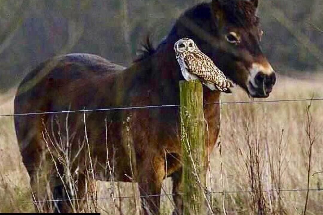 Photo of Others in Withypool