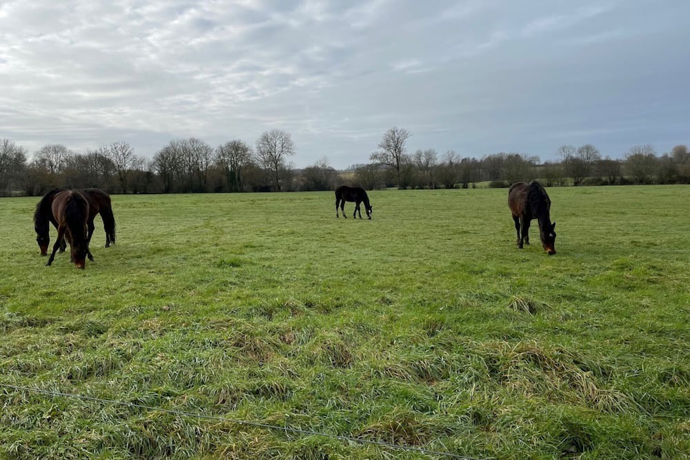 Photo of Others in Pays de Mortagne-au-Perche