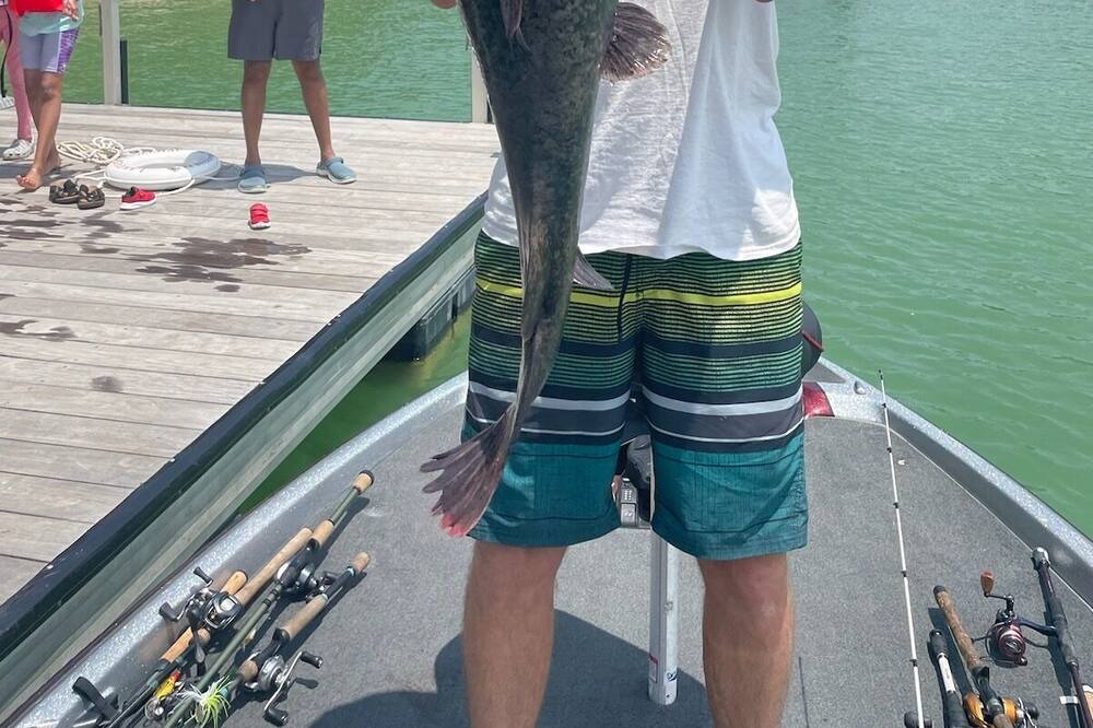 Photo of Others in Lake Bridgeport