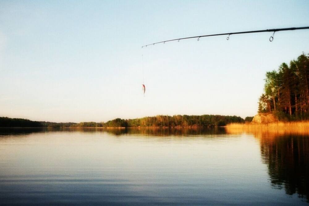 Photo of Others in Horseshoe Bend
