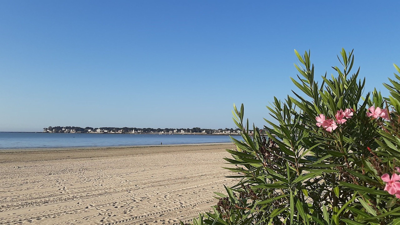 Photo of Others in Guerande