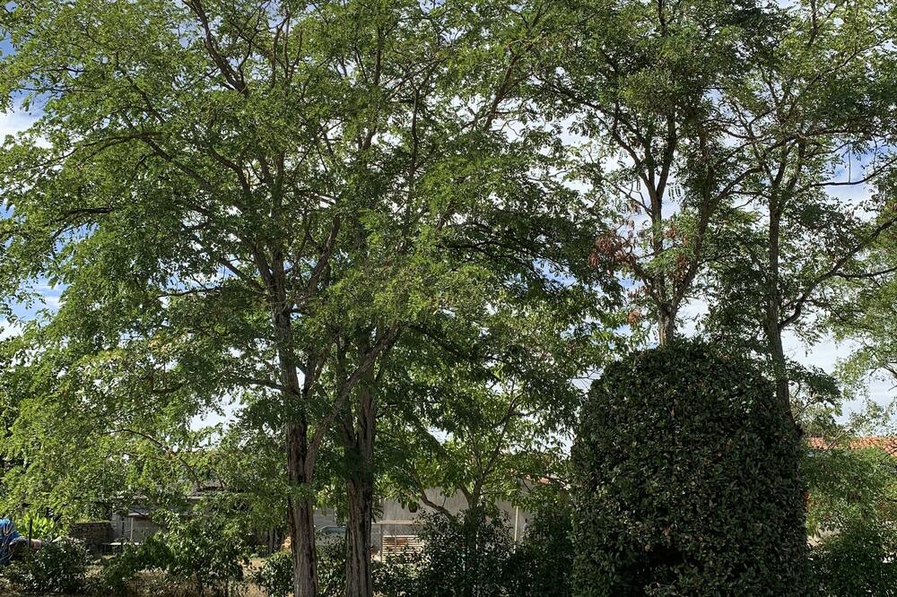 Photo of Outdoor in Champagne-les-Marais