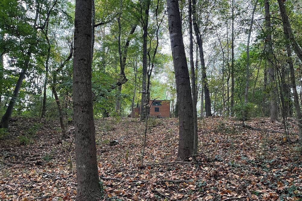 Photo of Others in Atlanta