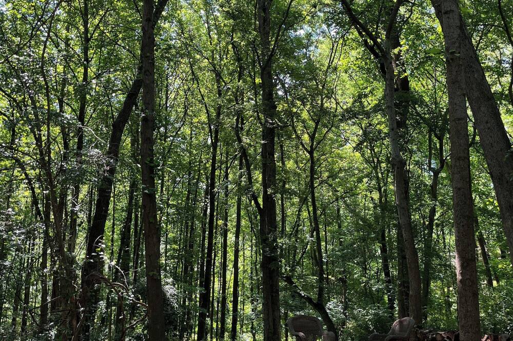 Photo of Others in Atlanta