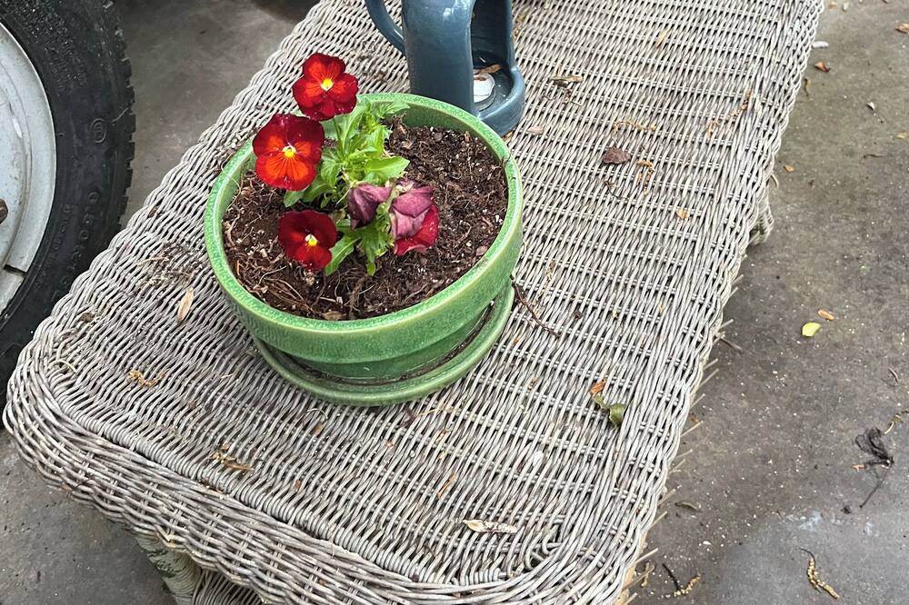 Photo of Outdoor in Atlanta