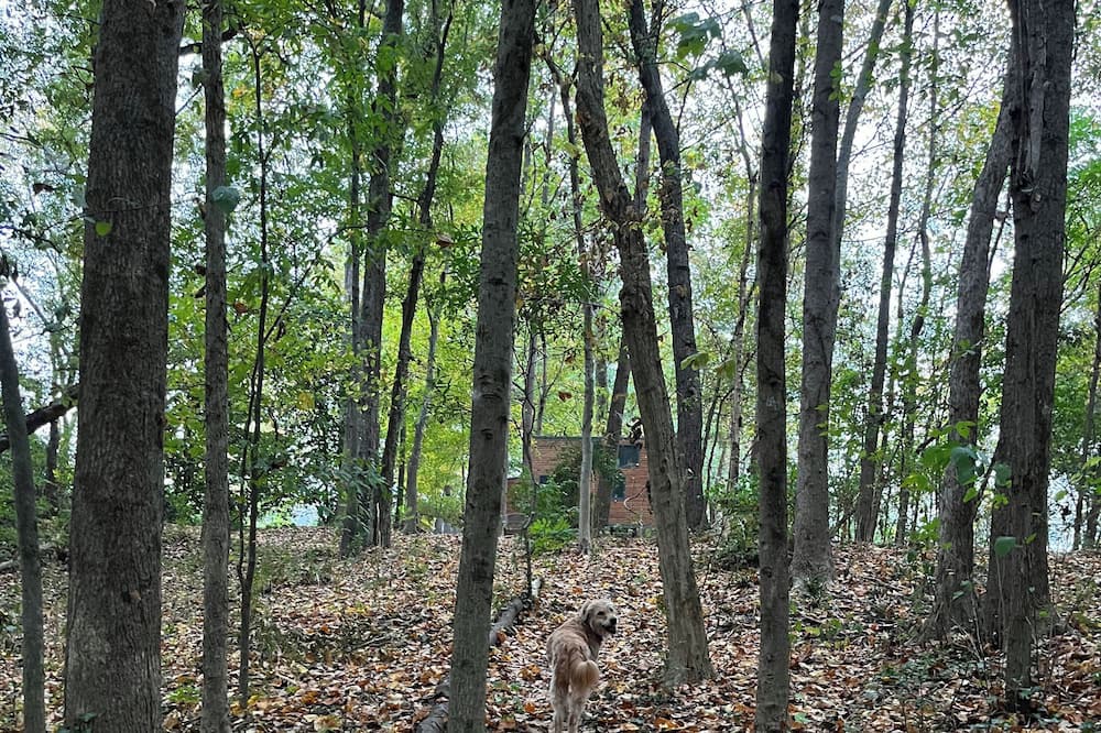 Photo of Others in Atlanta