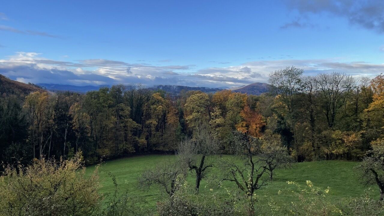Photo of Outdoor in Gempen