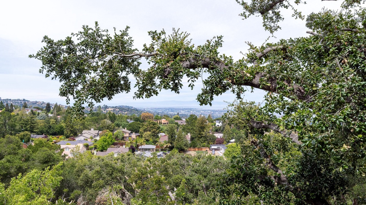 Photo of Outdoor in Farm Hills