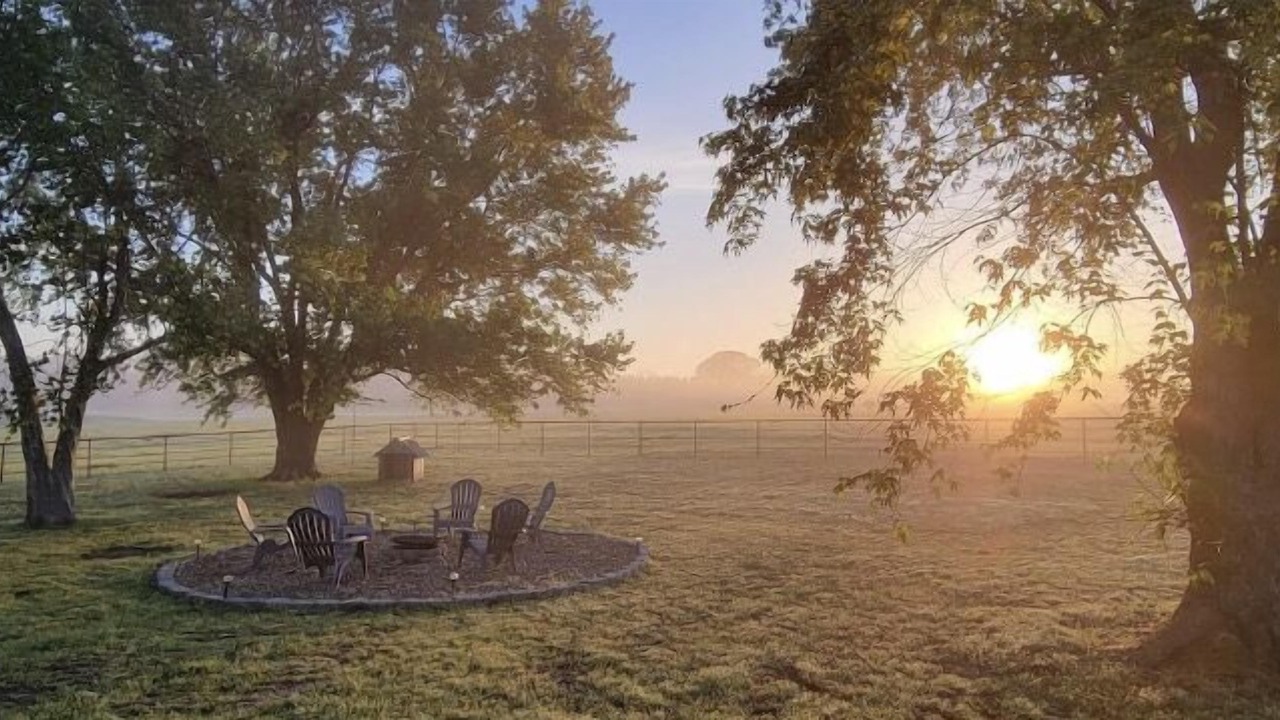 Photo of Outdoor in Golden