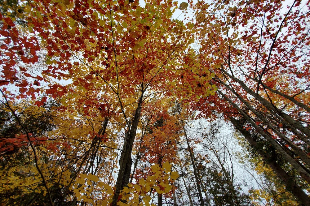 Photo of Outdoor in Notre-Dame-de-la-Merci