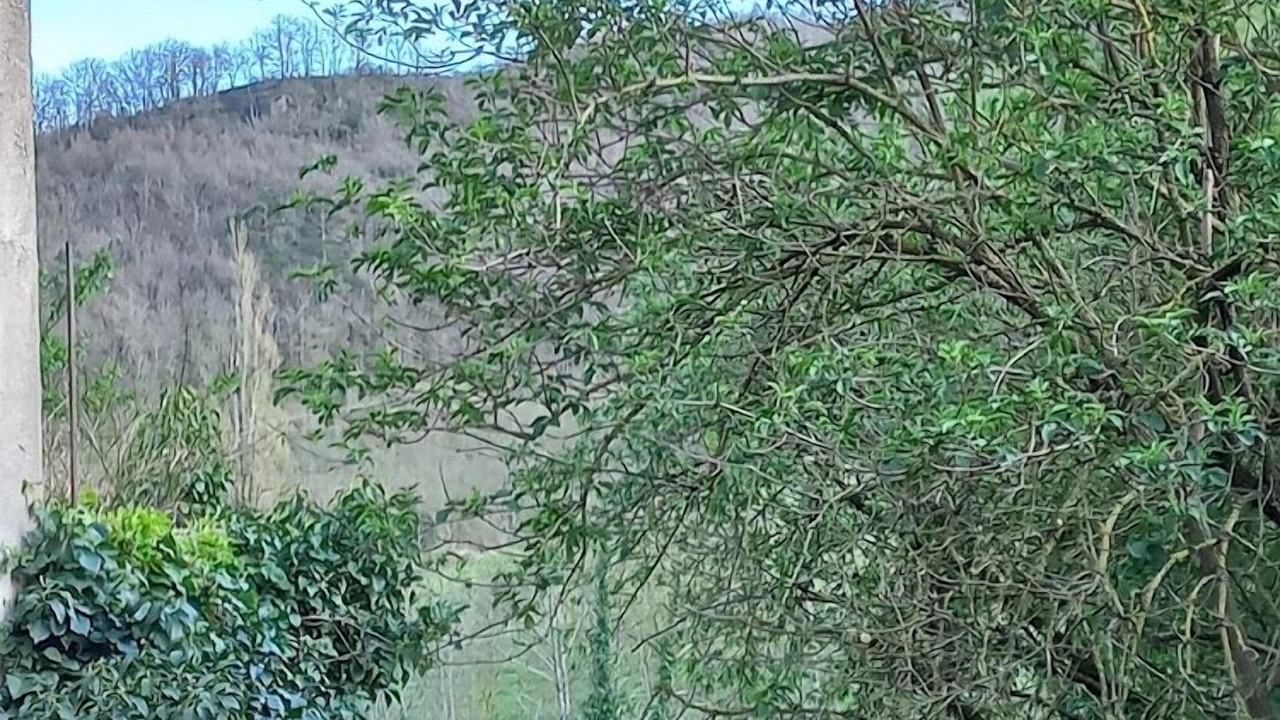 Photo of Outdoor in Versols-et-Lapeyre