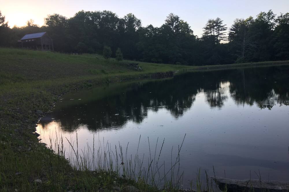 Photo of Others in Beach Lake