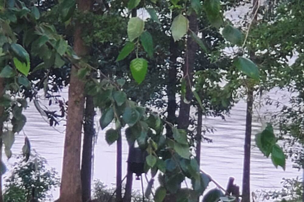 Photo of Outdoor in Shorterville