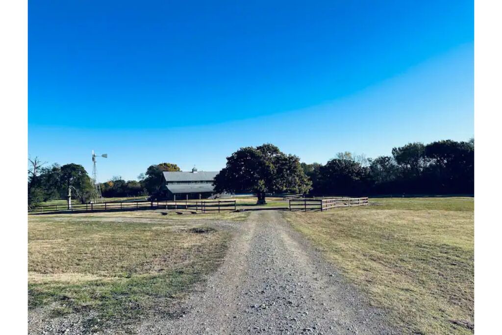 Photo of Outdoor in Elmo