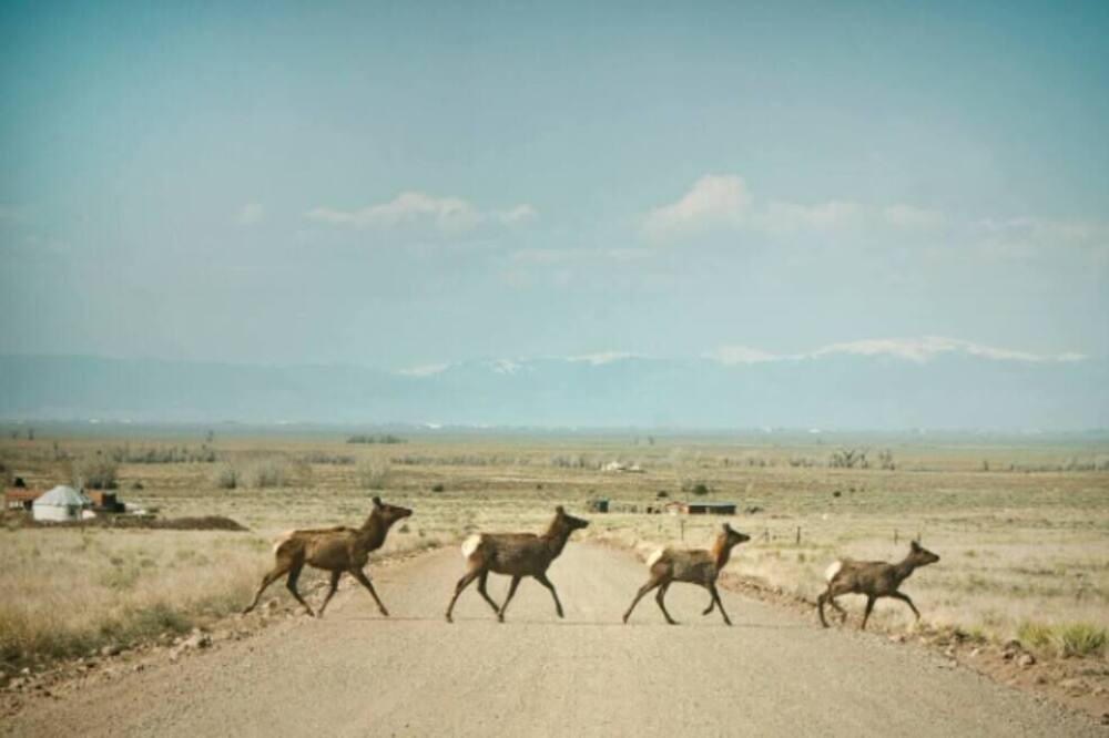 Photo of Others in Crestone
