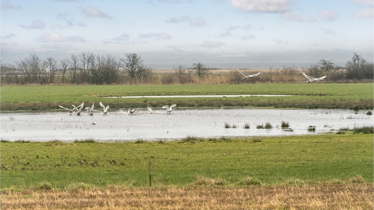 Photo of Others in Arø