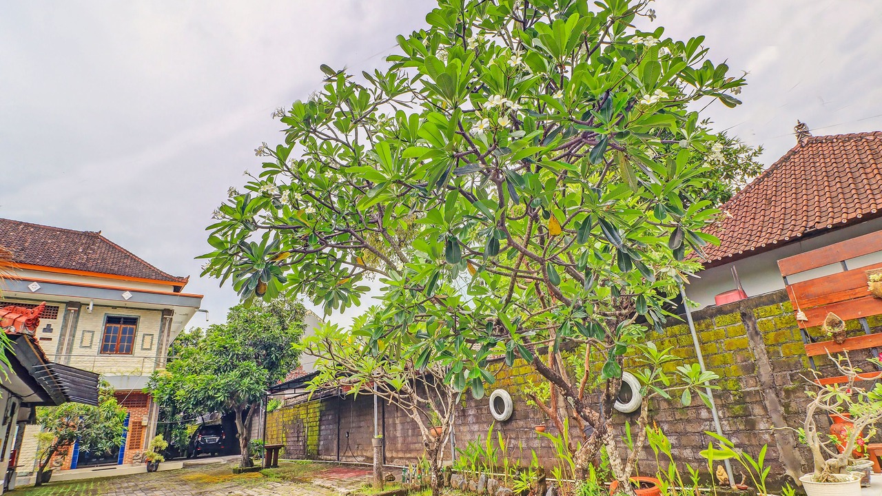 Photo of Others in Sidakarya