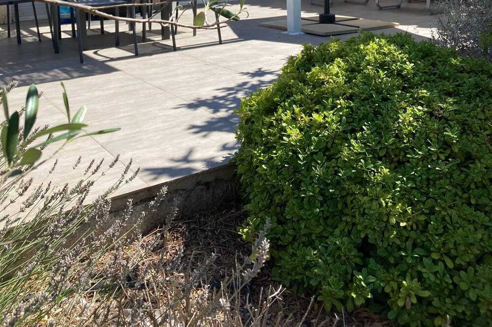 Photo of Outdoor in Villevieille