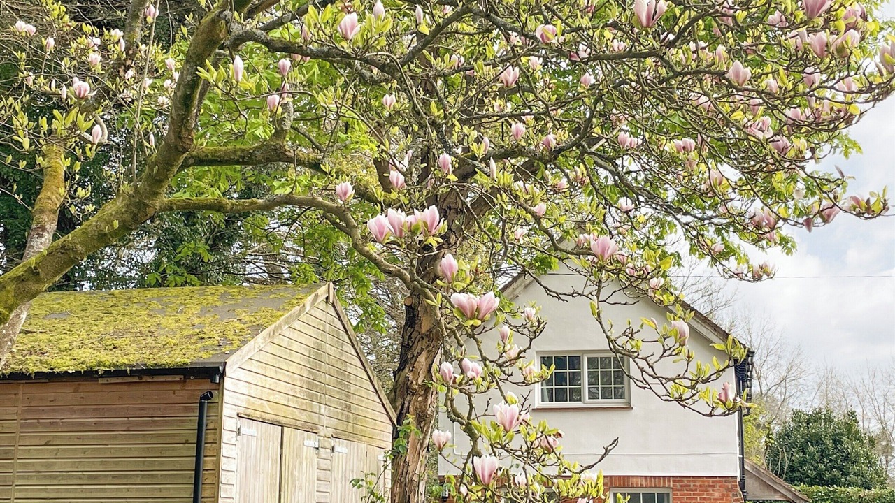 Photo of Outdoor in Liphook