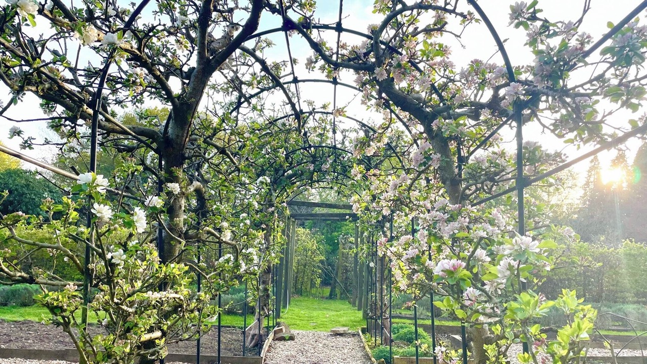 Photo of Outdoor in Liphook