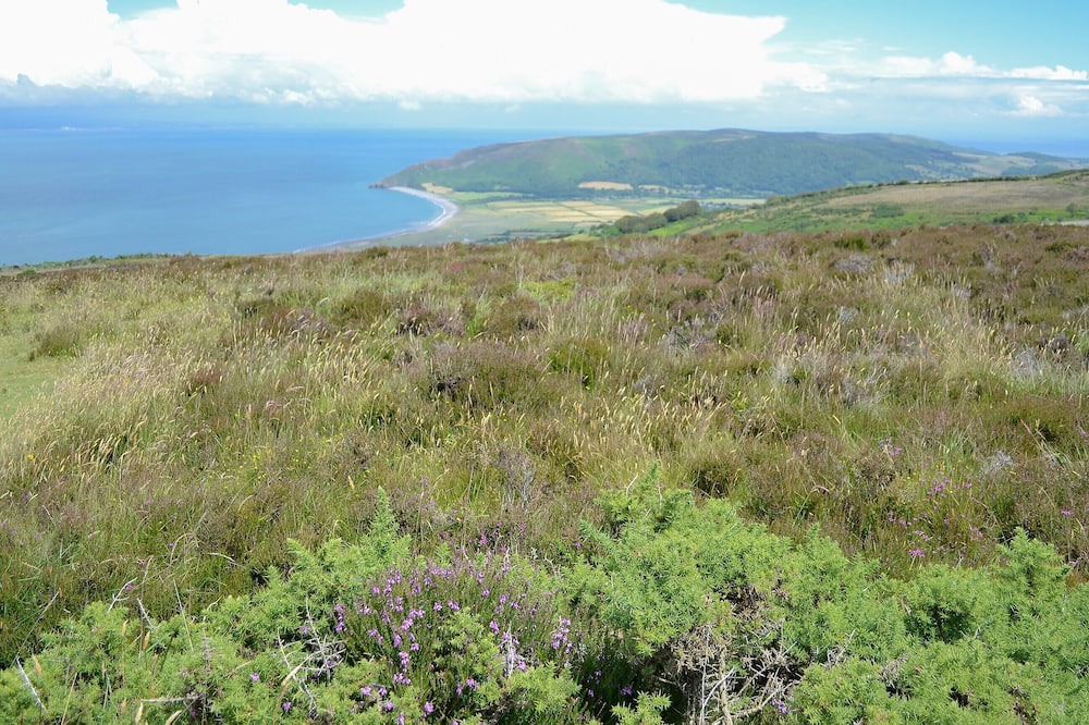 Photo of Outdoor in Alcombe