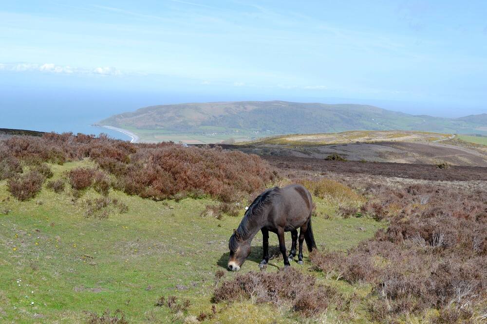 Photo of Others in Alcombe