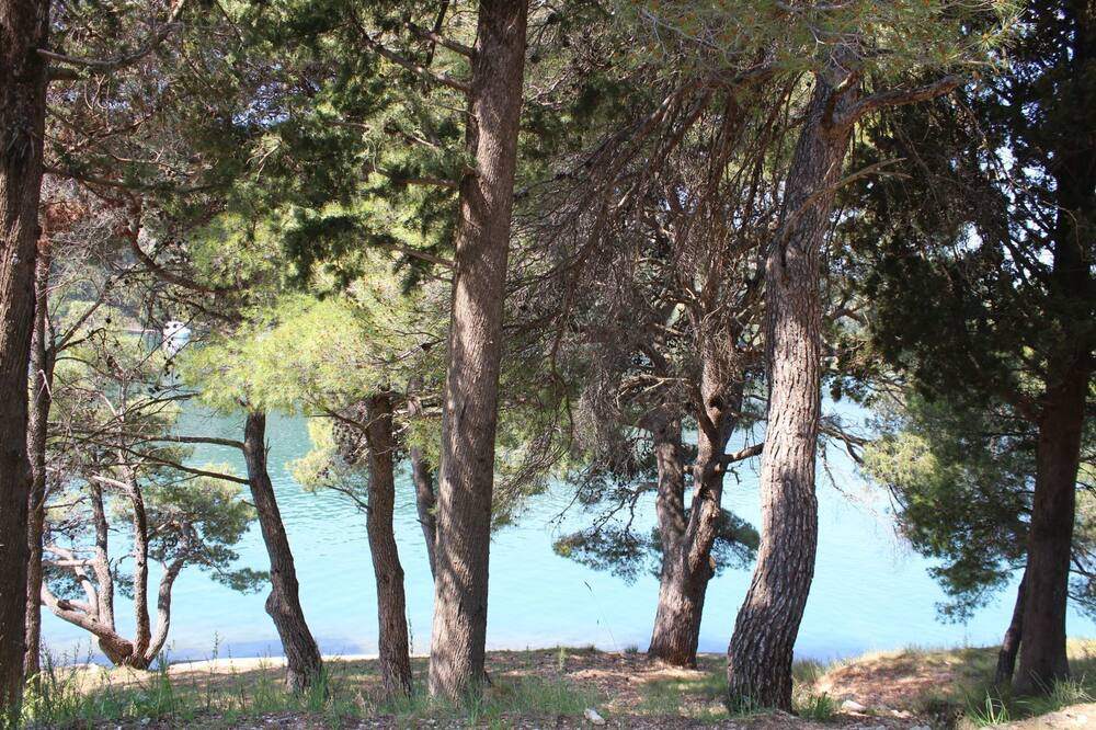 Photo of Others in Zaton