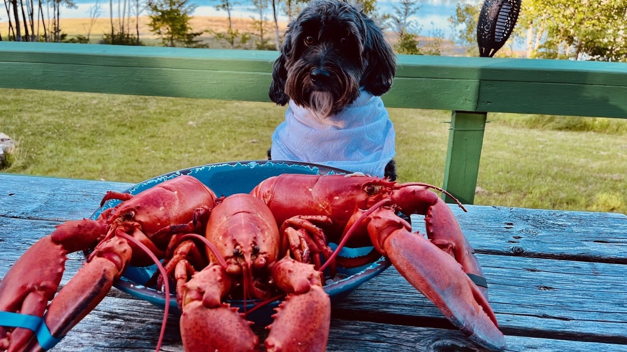 Photo of Others in Lubec
