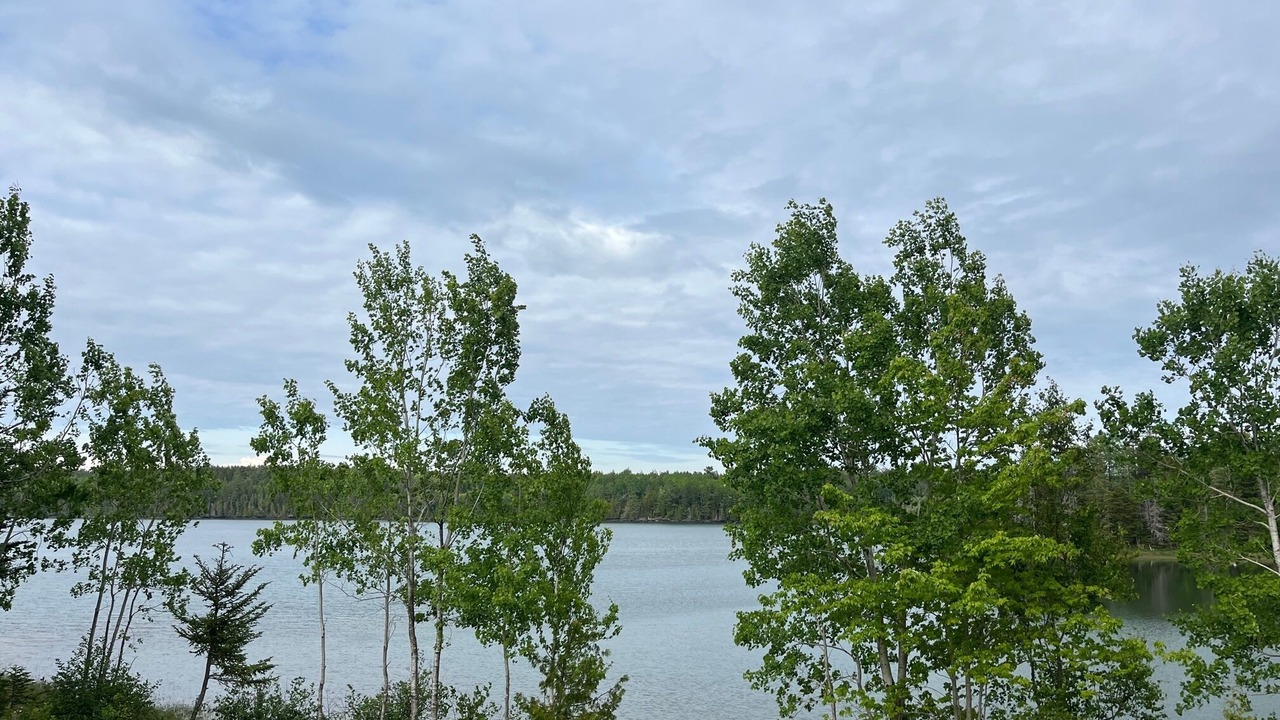 Photo of Others in Lubec