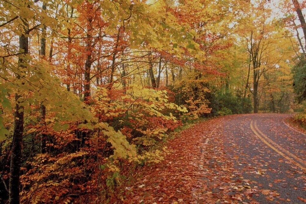 Photo of Outdoor in Gravenhurst