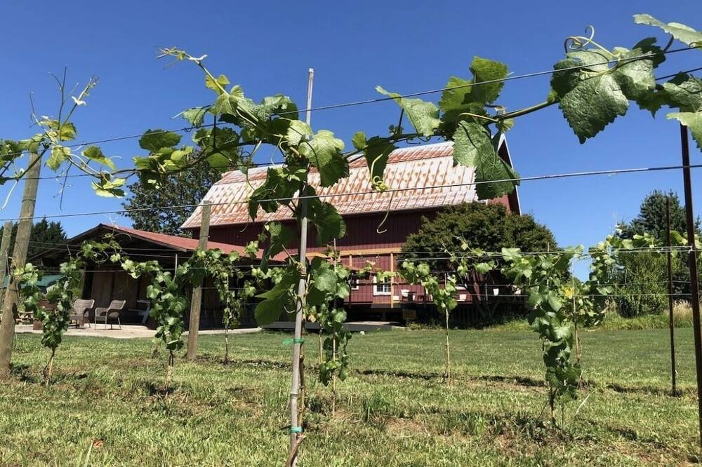 Photo of Outdoor in Battle Ground