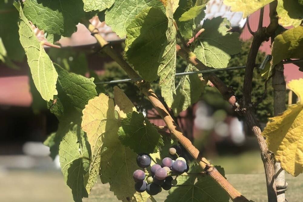 Photo of Others in Battle Ground