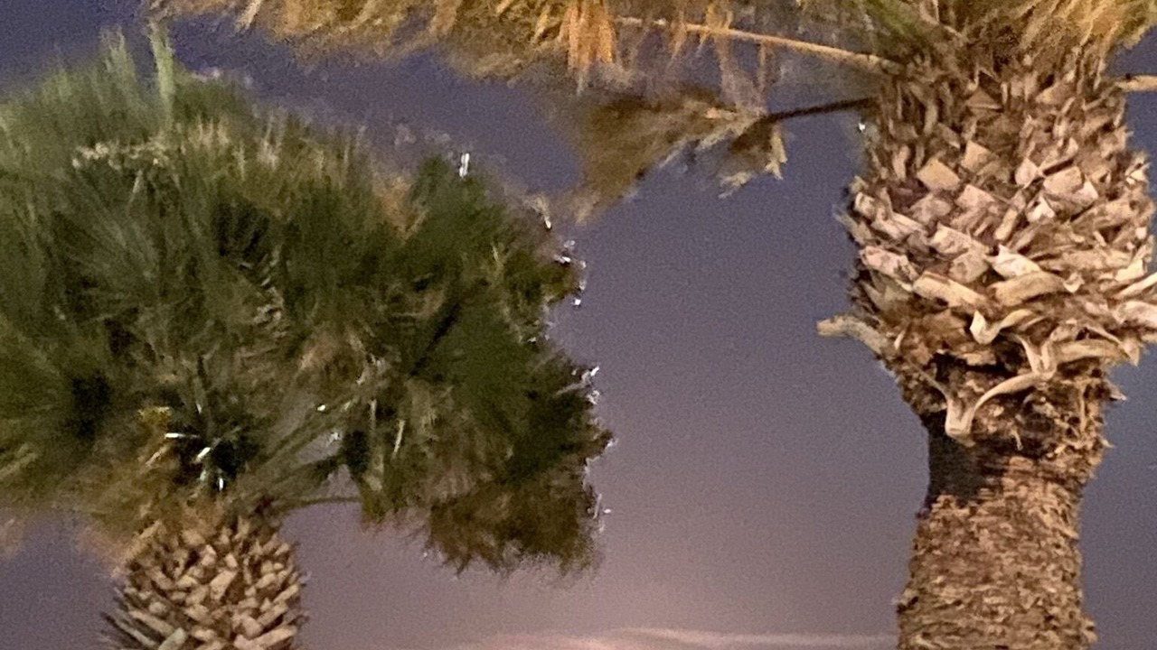 Photo of Others in Del Mar