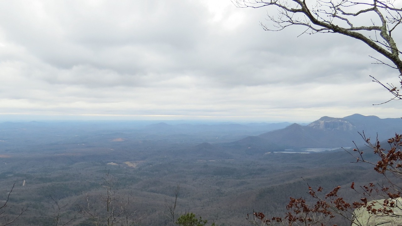 Photo of Others in Pickens