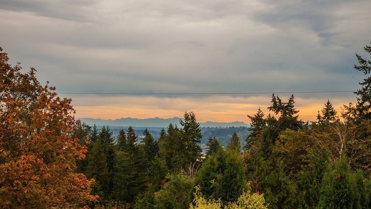 Photo of Others in Lake Forest Park