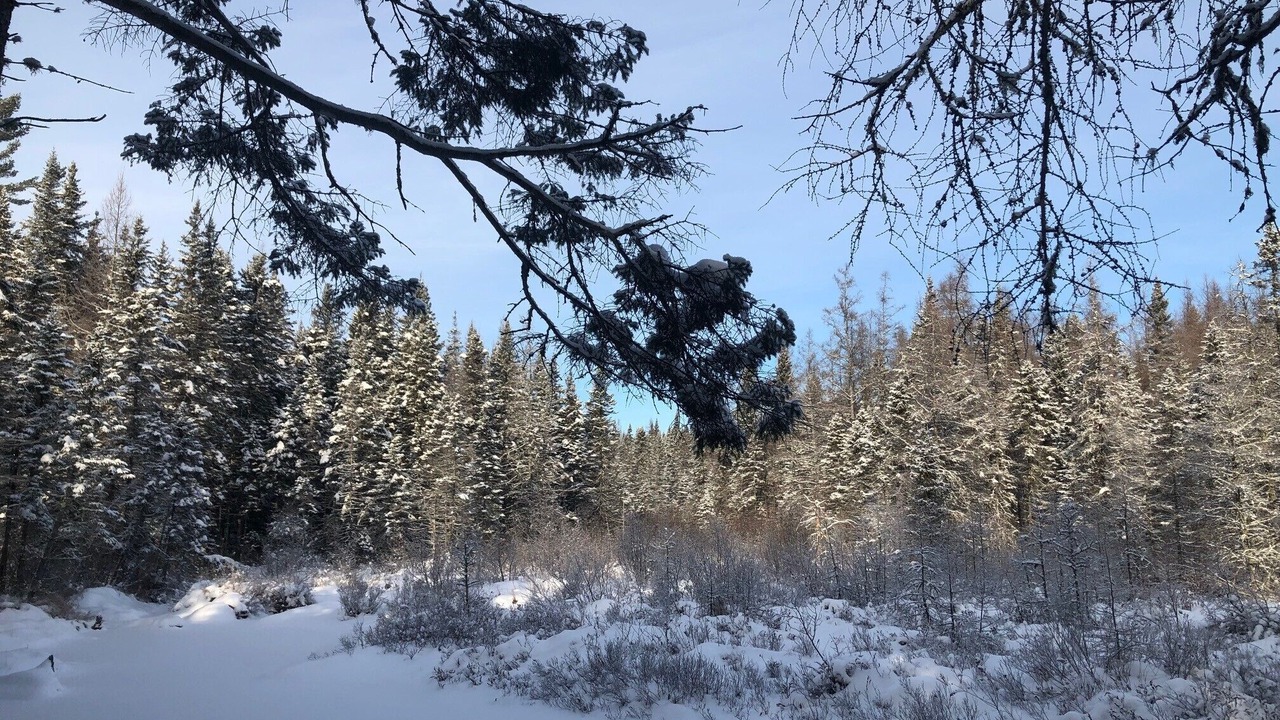 Photo of Others in Sainte-Lucie-des-Laurentides