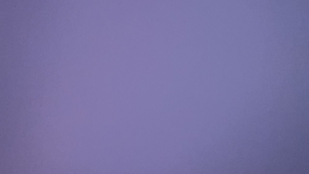 Photo of Others in Sycamore